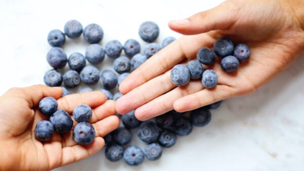 Blueberries eat now