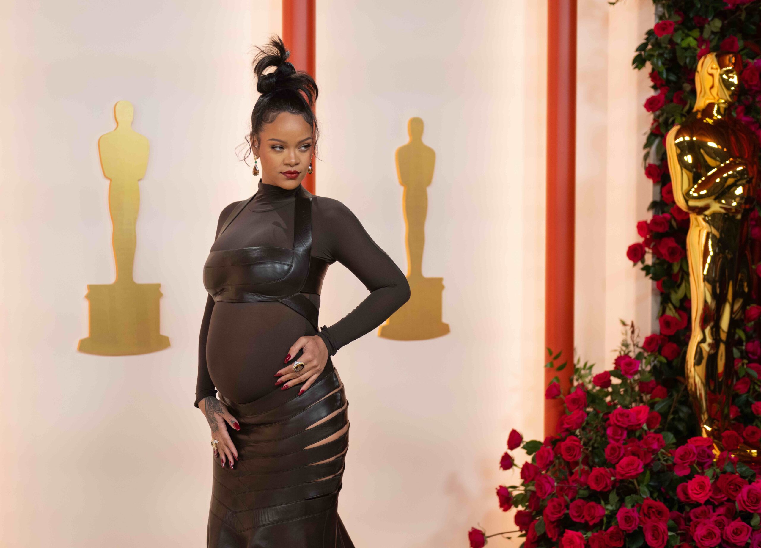 Rihanna arrived on the red carpet in a brown chocolate sheer vegan leather dress that turned heads